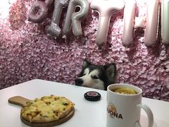 -百好乐宠物友好餐厅(朝外大街店)