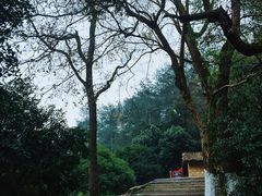 -韶山毛泽东同志故居