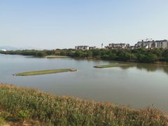 -华侨城湿地公园