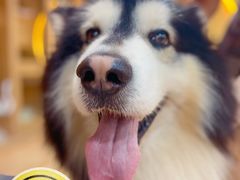 -白兔子密室(长寿路店)