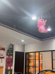 -心联形象设计·流星染