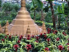 -南宫五洲植物乐园