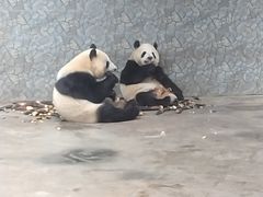 -西安秦岭野生动物园