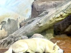 -海合安武汉极地海洋公园