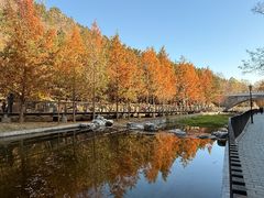 -白水寺森林公园