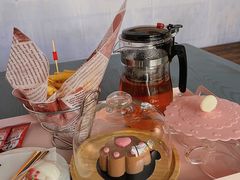 -喵屿·大理花园猫咖