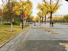 -复旦张江校区食堂