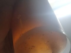 -莓超疯(德辉广场店)