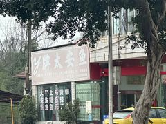 -y牌太安鱼