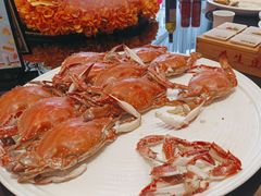 -连鹭海鲜·海肠捞饭·海胆饭(星海店)