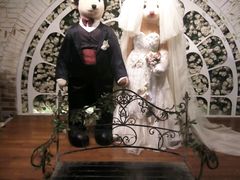 android_upload_pic-济州岛泰迪熊博物馆