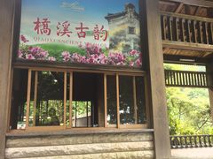 -雁南飞茶田景区