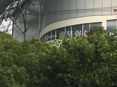 -沈坚强游泳俱乐部(长征分部)