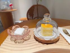 -玛莲朵·海菲秀冰珀科