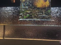 -云海肴云南菜·蒸汽石锅鱼(青岛万象城店)