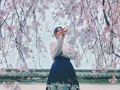 -西安青龙寺遗址景区