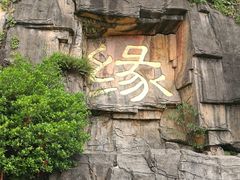 -三水森林公园