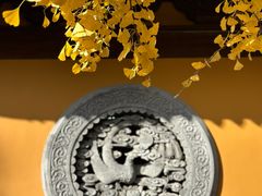 -龙华素斋(龙华路店)