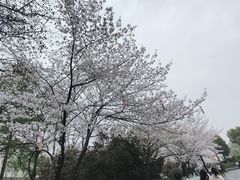-堤角公园
