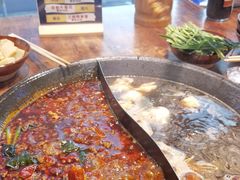 -楠火锅(哈尔滨金爵万象店)