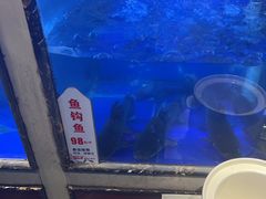 -老阿爸鲜鱼土菜(昆山花桥店)