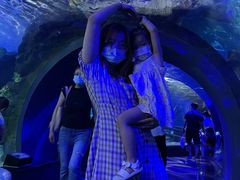 -江和美海洋公园