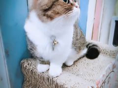-小时光咖啡馆(开森度假森林店)
