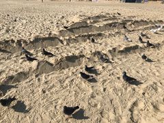 -海云台海滩