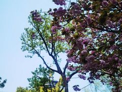 -浙江西子宾馆·瑶园咖啡厅