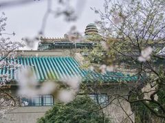 -武汉大学-樱园