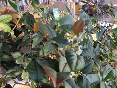 大堂-墨白私房菜·广东菜 粤菜