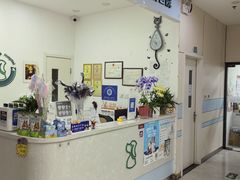 -中农国际动物医院24小时·猫科·骨科·急重症中心