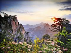 -黄山风景区