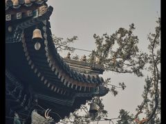 -香山公园