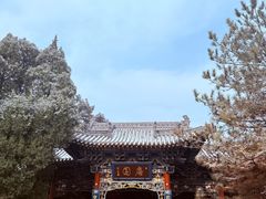 -晋祠公园