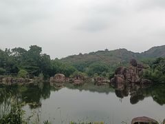 -白马涧龙池景区