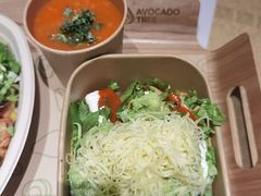 -油梨树AVOCADO TREE(顺义新国展店)