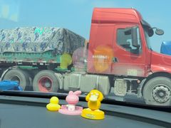 -麦当劳(庐山服务区店)