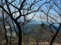 -惠山国家森林公园