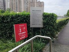 -陈家山荷花公园
