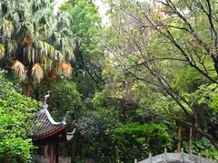 -深圳国际园林花卉博览园