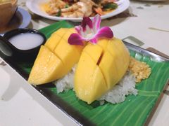 -Jungle Kitchen