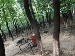 -亲兄弟真人CS团建拓展基地