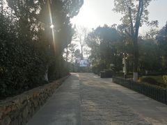 -韶山毛泽东同志故居