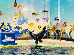 -太平洋海底世界