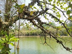 -荔湾湖公园