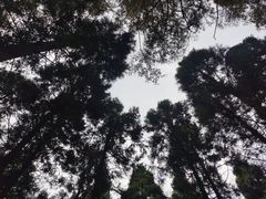 -上海怡沁园度假酒店
