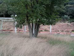 -牛岗山公园