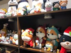 -逗柴咖啡屋·狗咖猫咖宠物桌游