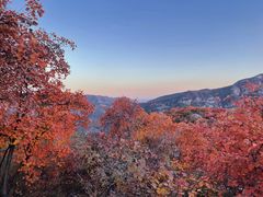 -周口店坡峰岭风景区